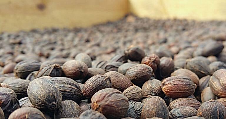 Espresso Çekirdekleri ile Kahve Çekirdeklerinin Farkı Nedir? Ethiopia Yirgacheffe Gedeb - Ethiopia Yirgacheffe Gedeb Özellikleri - Kahve Çekirdeklerini Saklama - Kahve Çekirdeklerinin Kavurma Seviyeleri ve Lezzet Profilleri - Kahve Öğütme Boyutları